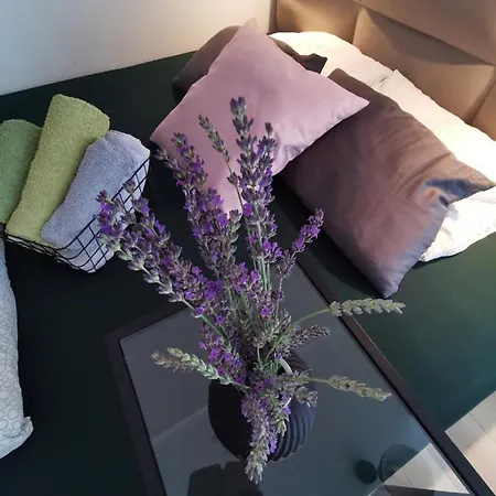 בית הארחה Gold Nest