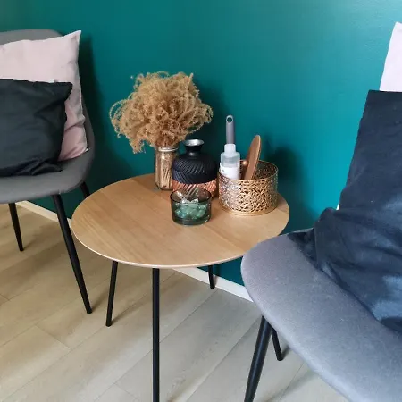 Guest house Gold Nest Belgrade